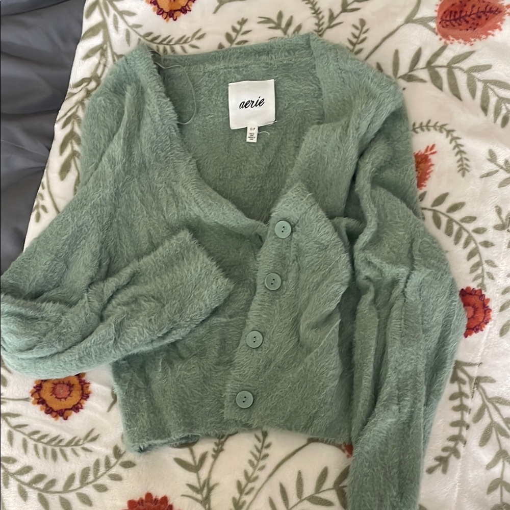 Aerie Women's Green Fuzzy Sweater